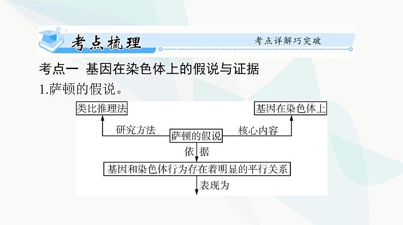 2024年高考生物一轮复习必修2第2章第2、3节基因在染色体上、伴性遗传课件第2页