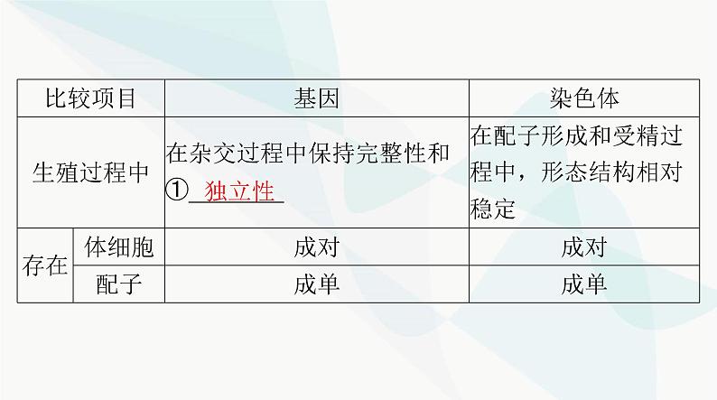 2024年高考生物一轮复习必修2第2章第2、3节基因在染色体上、伴性遗传课件第3页