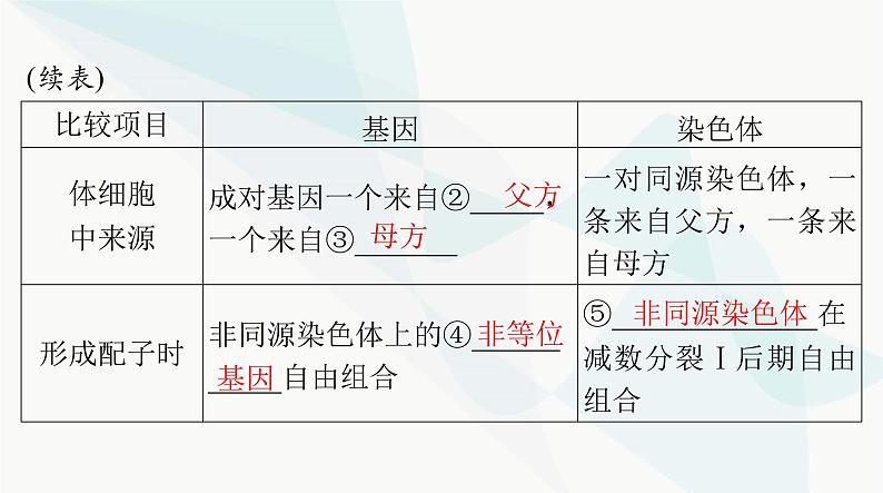 2024年高考生物一轮复习必修2第2章第2、3节基因在染色体上、伴性遗传课件第4页