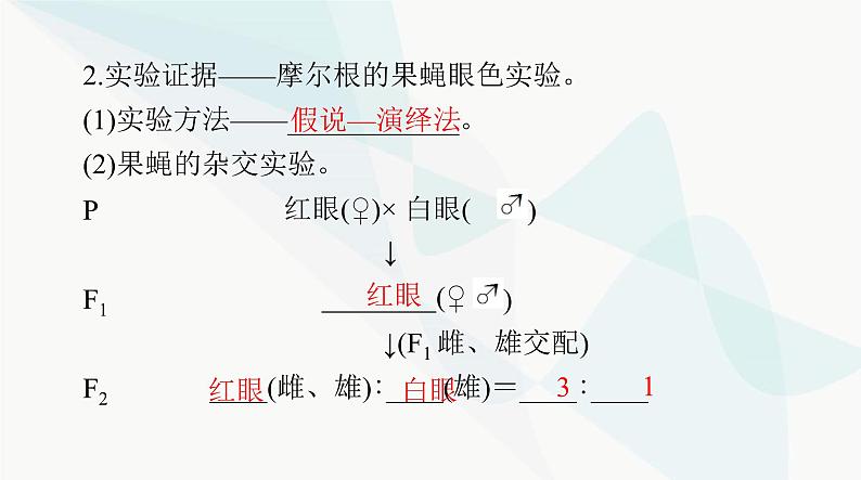 2024年高考生物一轮复习必修2第2章第2、3节基因在染色体上、伴性遗传课件第5页