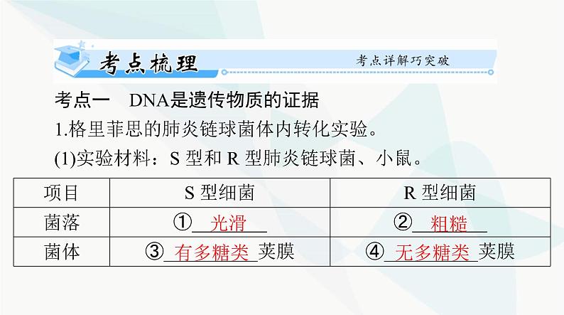 2024年高考生物一轮复习必修2第3章第1节DNA是主要的遗传物质课件第4页