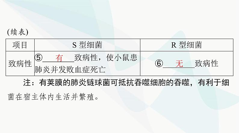 2024年高考生物一轮复习必修2第3章第1节DNA是主要的遗传物质课件第5页