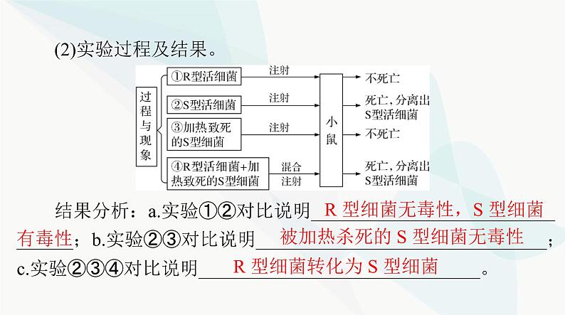 2024年高考生物一轮复习必修2第3章第1节DNA是主要的遗传物质课件第6页