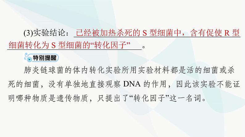 2024年高考生物一轮复习必修2第3章第1节DNA是主要的遗传物质课件第7页