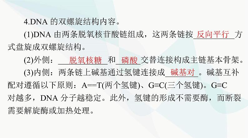 2024年高考生物一轮复习必修2第3章第2、3、4节DNA的结构、DNA的复制及基因通常是有遗传效应的DNA片段课件第5页