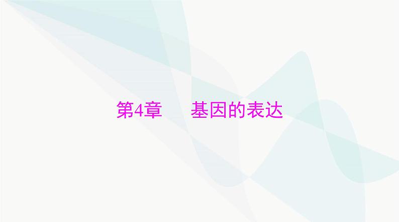 2024年高考生物一轮复习必修2第4章基因的表达课件第1页