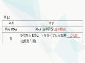 2024年高考生物一轮复习必修2第4章基因的表达课件