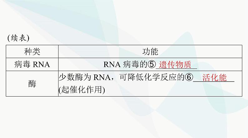 2024年高考生物一轮复习必修2第4章基因的表达课件第4页