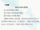 2024年高考生物一轮复习必修2第4章基因的表达课件
