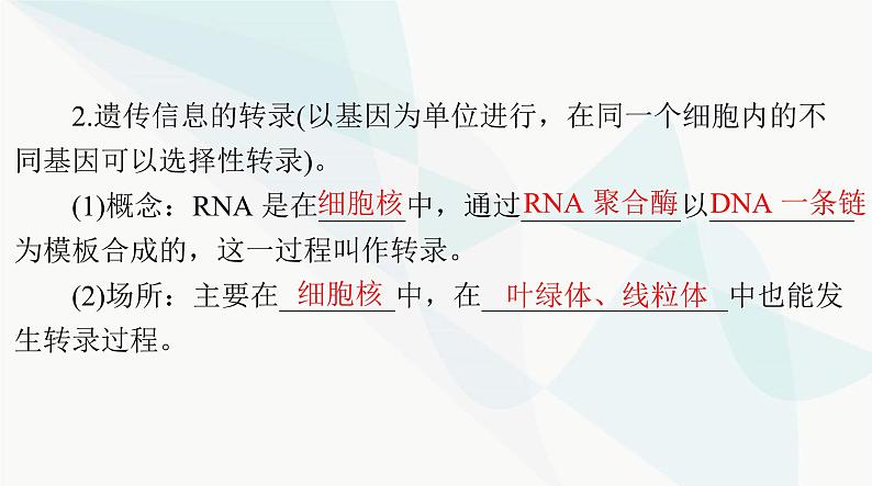 2024年高考生物一轮复习必修2第4章基因的表达课件第6页