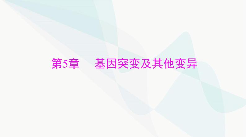 2024年高考生物一轮复习必修2第5章第1节基因突变和基因重组课件第1页