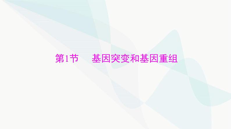 2024年高考生物一轮复习必修2第5章第1节基因突变和基因重组课件第3页