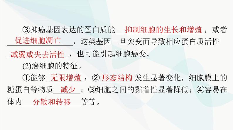 2024年高考生物一轮复习必修2第5章第1节基因突变和基因重组课件第8页