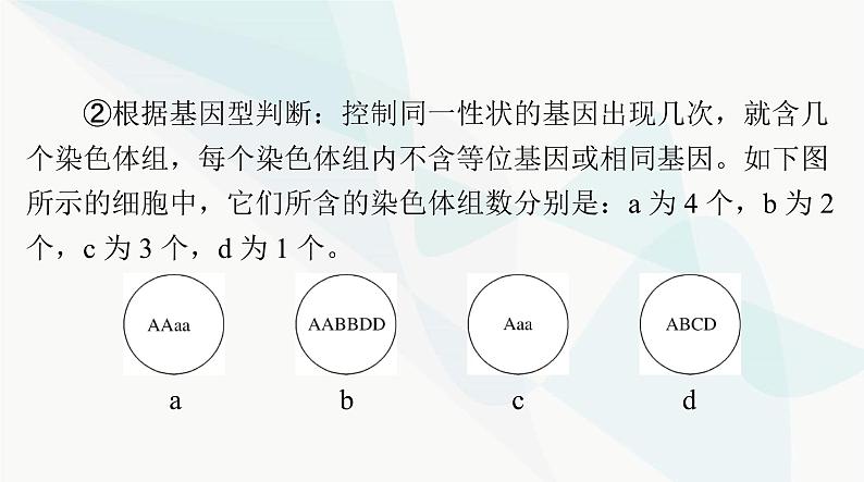 2024年高考生物一轮复习必修2第5章第2节染色体变异课件第5页