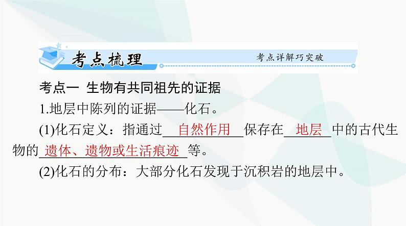 2024年高考生物一轮复习必修2第6章生物的进化课件第3页