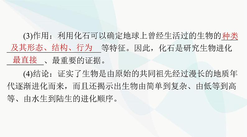 2024年高考生物一轮复习必修2第6章生物的进化课件第4页