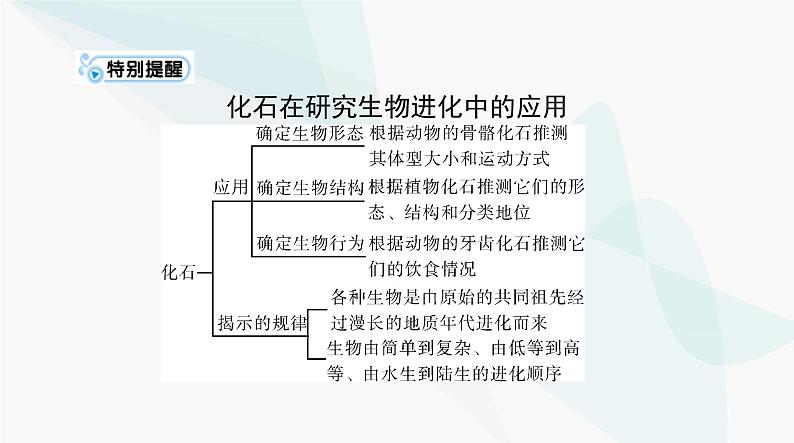 2024年高考生物一轮复习必修2第6章生物的进化课件第5页