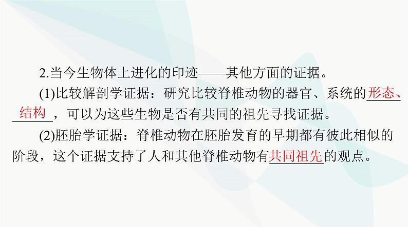 2024年高考生物一轮复习必修2第6章生物的进化课件第6页