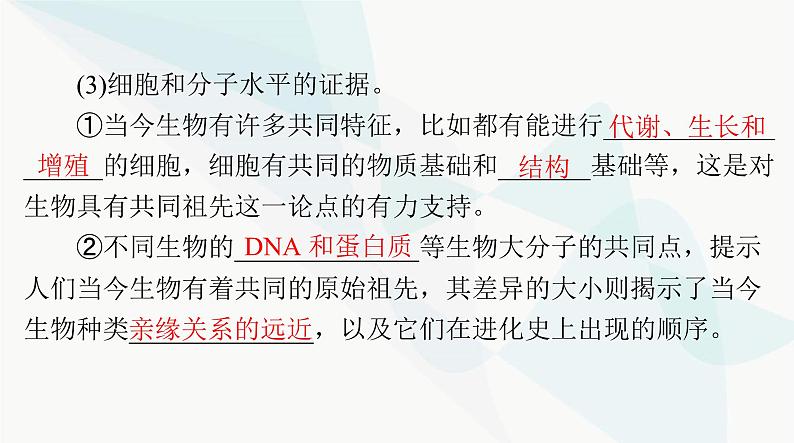 2024年高考生物一轮复习必修2第6章生物的进化课件第7页