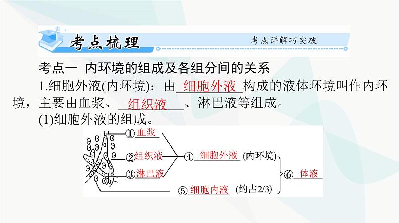 2024年高考生物一轮复习选择性必修1第1章人体的内环境与稳态课件03