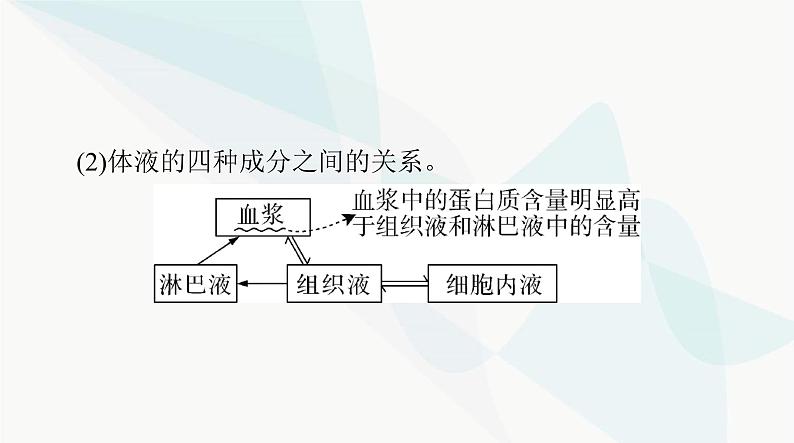 2024年高考生物一轮复习选择性必修1第1章人体的内环境与稳态课件04