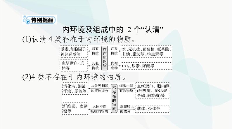 2024年高考生物一轮复习选择性必修1第1章人体的内环境与稳态课件07