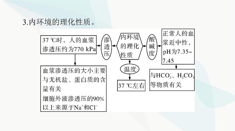 2024年高考生物一轮复习选择性必修1第1章人体的内环境与稳态课件08