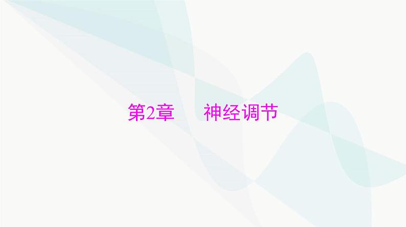 2024年高考生物一轮复习选择性必修1第2章第1、2节神经调节的结构基础、神经调节的基本方式课件第1页