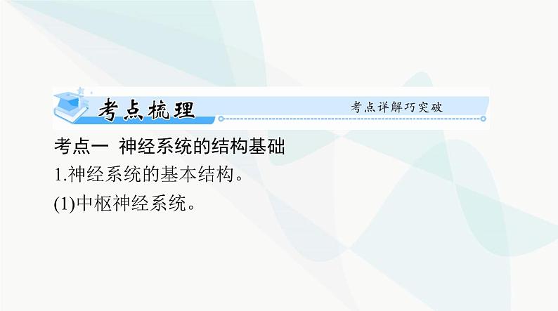 2024年高考生物一轮复习选择性必修1第2章第1、2节神经调节的结构基础、神经调节的基本方式课件第4页