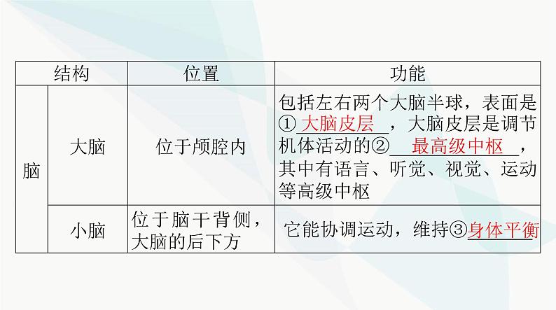 2024年高考生物一轮复习选择性必修1第2章第1、2节神经调节的结构基础、神经调节的基本方式课件第5页