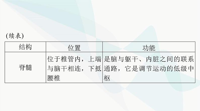 2024年高考生物一轮复习选择性必修1第2章第1、2节神经调节的结构基础、神经调节的基本方式课件第7页