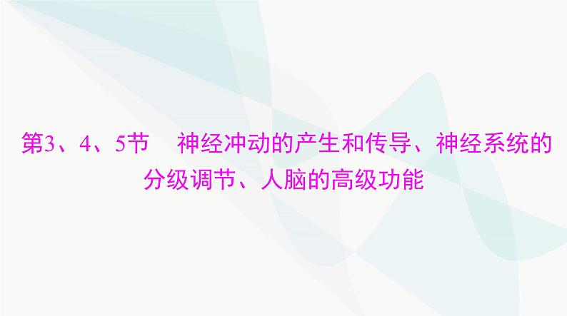 2024年高考生物一轮复习选择性必修1第2章第3、4、5节神经冲动的产生和传导、神经系统的分级调节、人脑的高级功能课件第1页