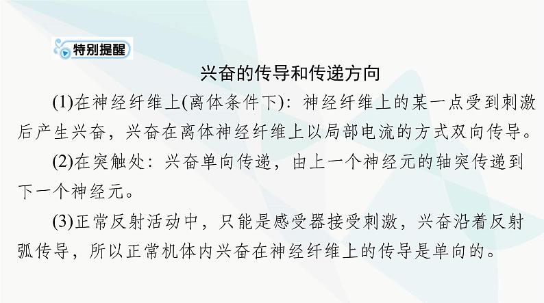 2024年高考生物一轮复习选择性必修1第2章第3、4、5节神经冲动的产生和传导、神经系统的分级调节、人脑的高级功能课件第7页