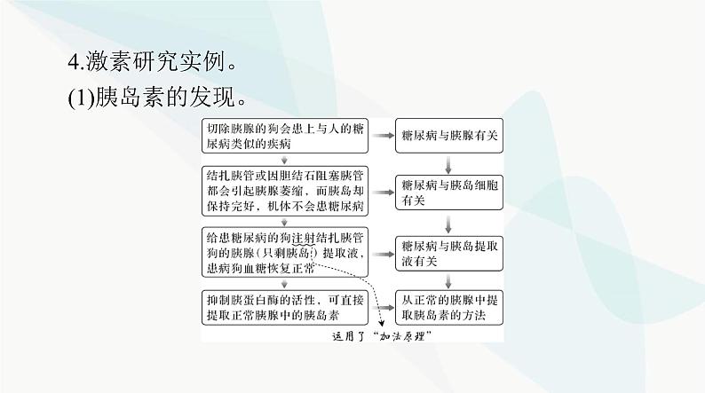 2024年高考生物一轮复习选择性必修1第3章体液调节课件第8页