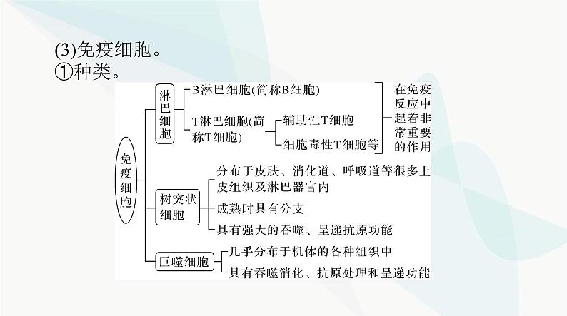 2024年高考生物一轮复习选择性必修1第4章免疫调节课件06