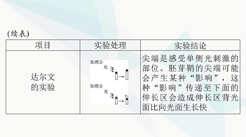 2024年高考生物一轮复习选择性必修1第5章植物生命活动的调节课件第4页