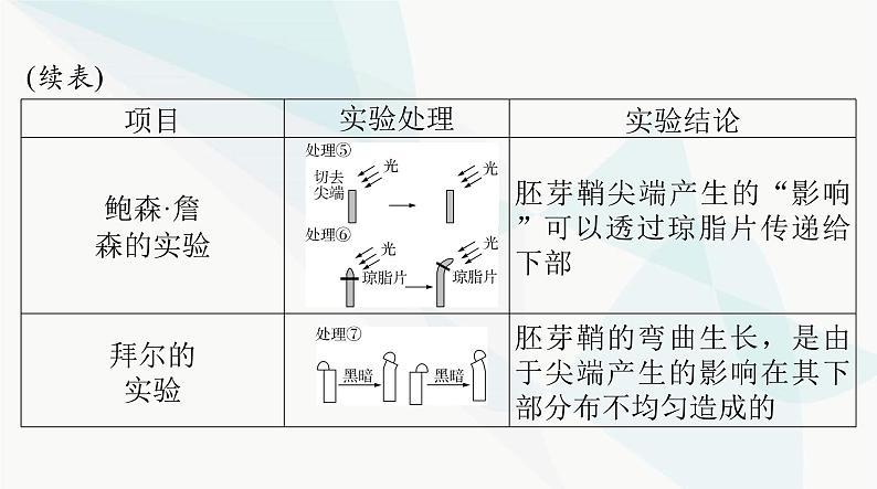 2024年高考生物一轮复习选择性必修1第5章植物生命活动的调节课件第5页