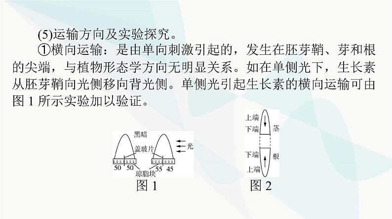 2024年高考生物一轮复习选择性必修1第5章植物生命活动的调节课件第8页
