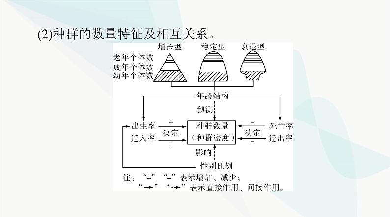 2024年高考生物一轮复习选择性必修2第1章种群及其动态课件第4页