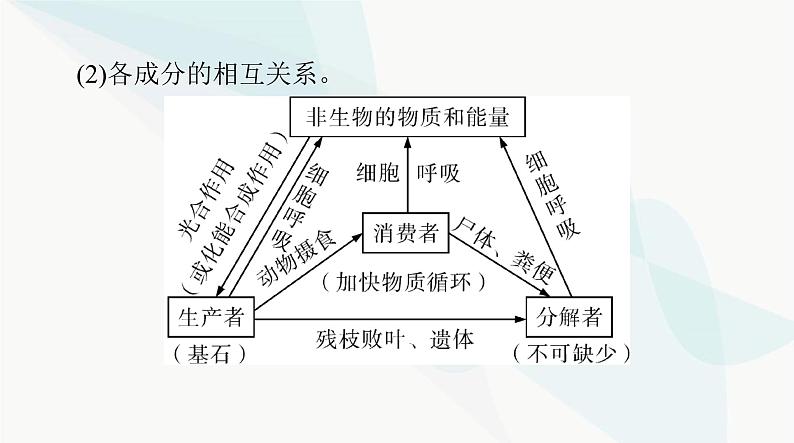 2024年高考生物一轮复习选择性必修2第3章第1、2节生态系统的结构、生态系统的能量流动课件08
