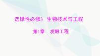 2024年高考生物一轮复习选择性必修3第1章发酵工程课件