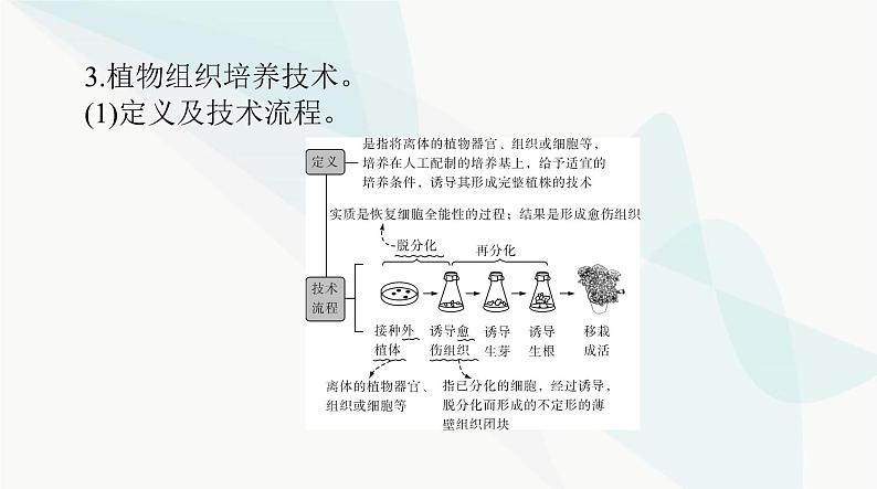 2024年高考生物一轮复习选择性必修3第2章细胞工程课件06