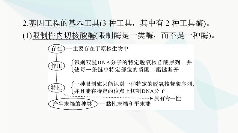 2024年高考生物一轮复习选择性必修3第3、4章基因工程、生物技术的安全性和伦理问题课件第5页