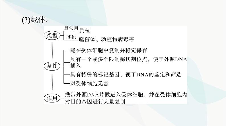 2024年高考生物一轮复习选择性必修3第3、4章基因工程、生物技术的安全性和伦理问题课件第8页