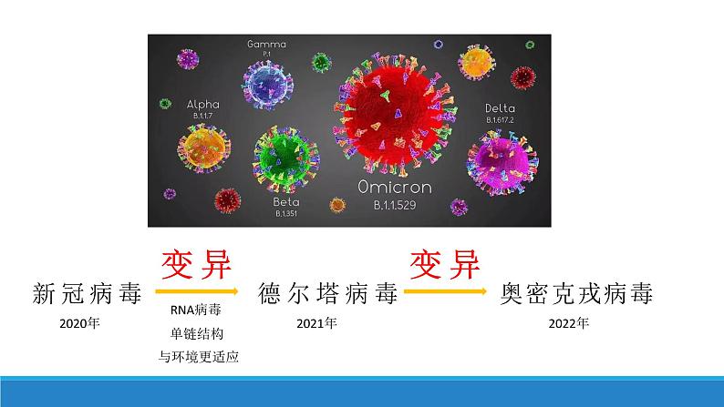 浙科版生物《开学第一课》PPT课件第5页