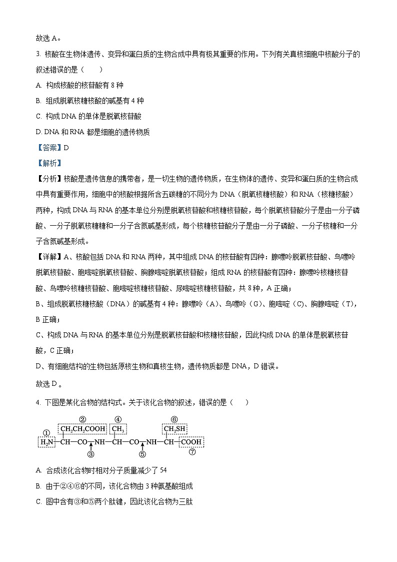 四川省泸州市泸县四中2022-2023学年高一生物下学期3月月考试题（Word版附解析）02
