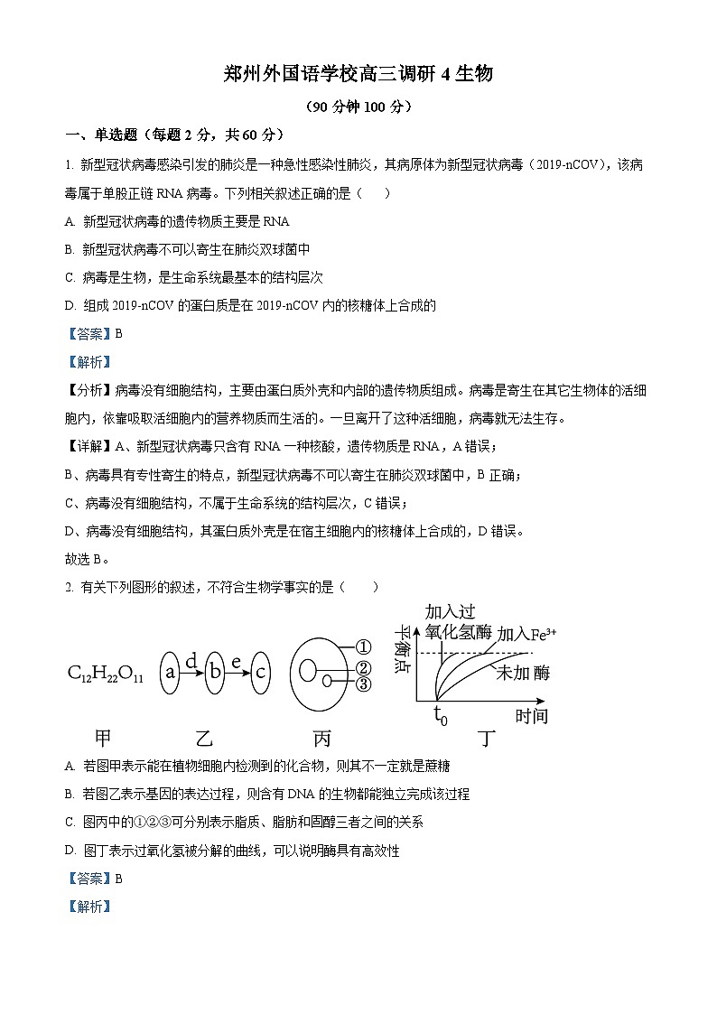 精品解析：河南省郑州市郑州外国语学校2022-2023学年高三上学期第四次调研生物试题（解析版）第1页