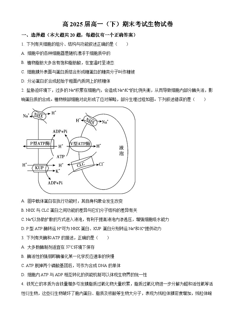 2023重庆市巴蜀中学高一下学期期末生物试题含解析01