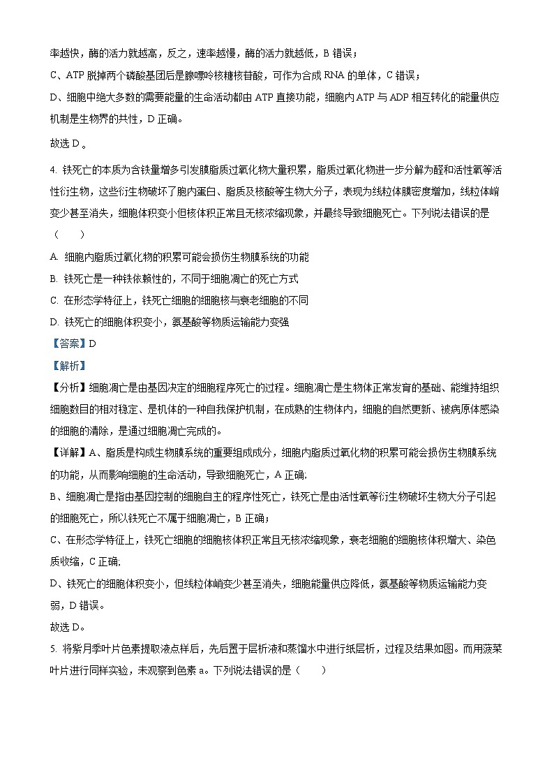 2023重庆市巴蜀中学高一下学期期末生物试题含解析03