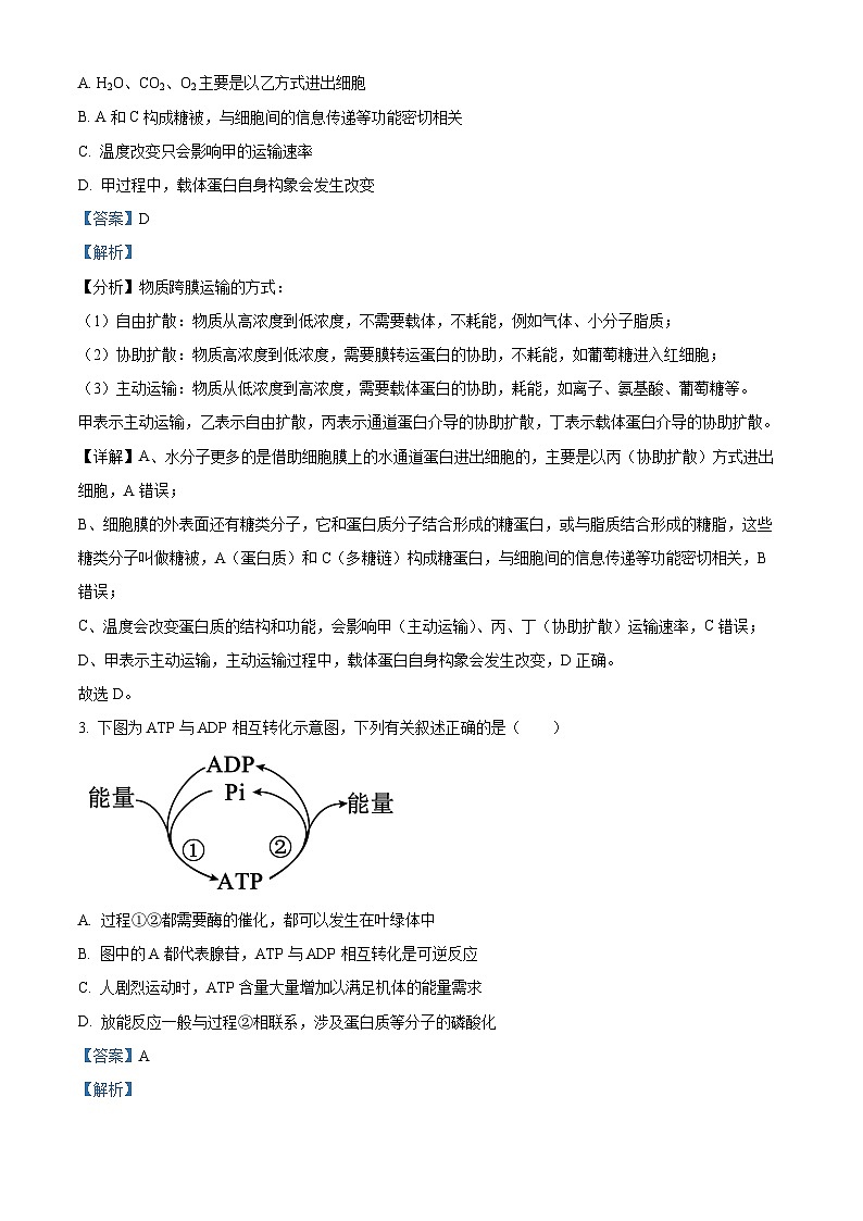 重庆市巴蜀中学2022-2023学年高一生物下学期5月期中试题（Word版附解析）第2页